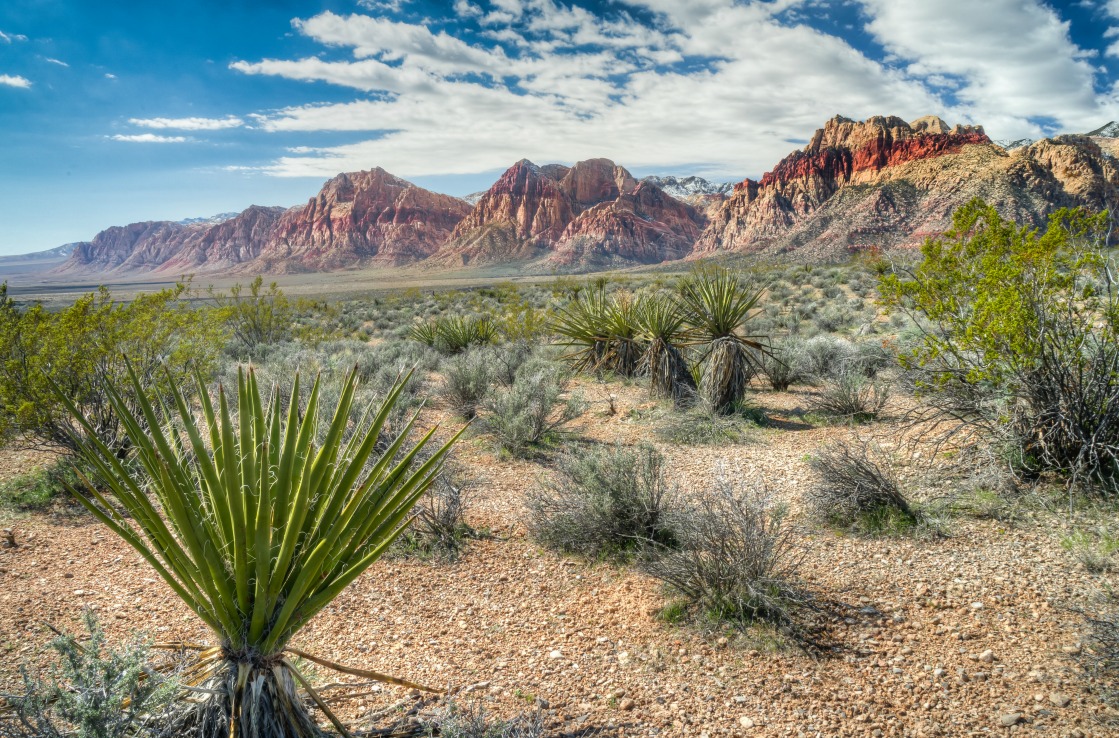 Red Rock Canyon